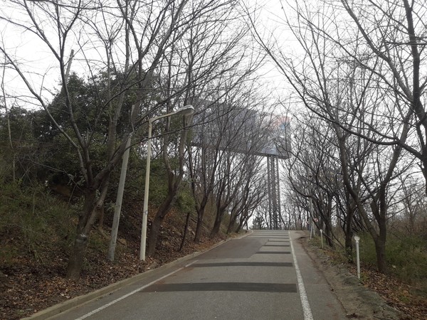 국제도시 영종도, 인천 중구 운서동 건강백년길(둘레길 1코스) 백련산 들머리로 영종지 배수지 입구 벚나무 가로수가 일품이다. 봄이 그려진다