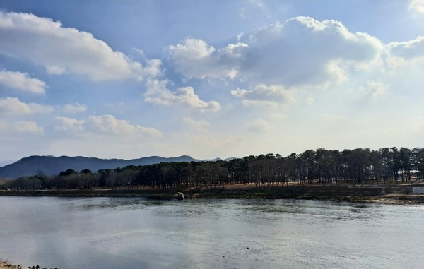 양산팔경의 중심인 '송호국민관광단지' 강 건너에서 조망된 모습(사진=김호선기자)