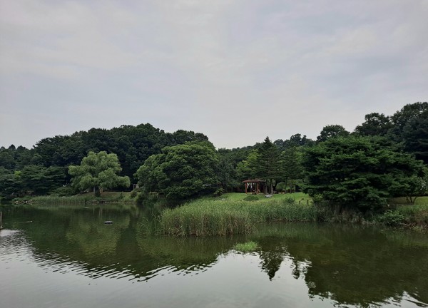 독립기념관 아름다운 백련못(사진=김호선기자)