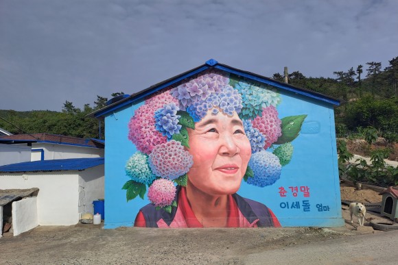 수국공원 입구 마을에 그려진 수국머리를 하고 있는 벽화(사진=김호선기자)