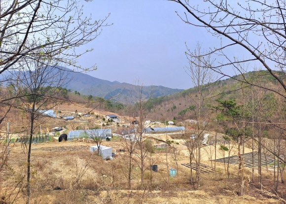한적하고 조용한 산 마을의 정겨운 모습(사진=김호선기자)