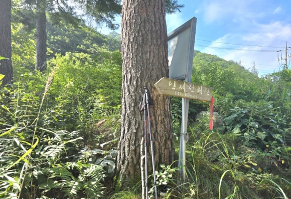 인제천리길(34구간 460km)은 사람, 문화, 경관을 잇는 아름다운 길(사진=김호선기자)