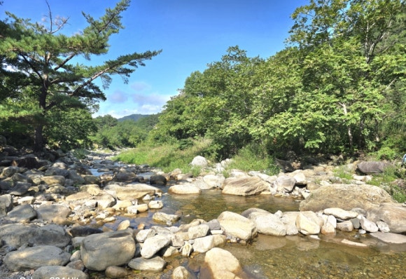 새이령길은 계곡을 건너는 길로 계곡의 징검다리 모습(사진=김호선기자)