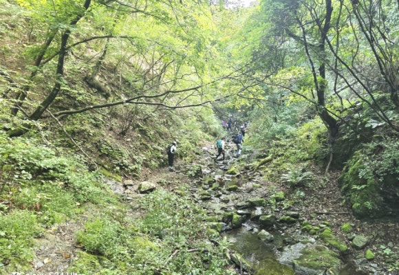 새이령 길은 크지도 깊지도 않는 계곡을 걷는 설렘의 길(사진=김호선기자)