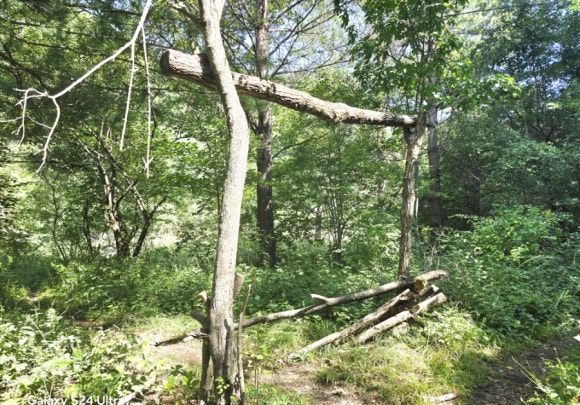 새이령길을 걷는데 갑자기 제주도에 있을 법한 모습의 정낭(사진=김호선기자)