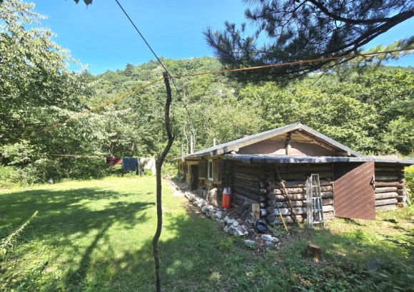 숲속의 정낭을 지나면 한 자연인이 살고 있는 집 모습(사진=김호선기자)