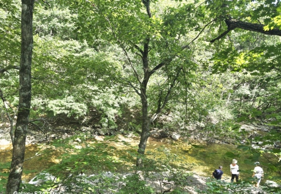 계곡에는 크고 작은 소가 있는데 많은 사람이 쉴 수 있는 소(사진=김호선기자)