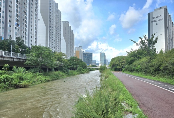 평소 맑고 시원하게 흐른다는 학의천이 내린 비로 인해 급류의 흙탕물 모습(
