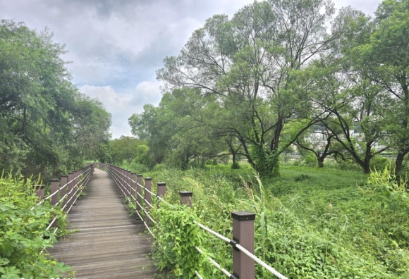 신대천과 경안천이 합수되는 곳의 어울림마당의 모습(사진=김호선기자)