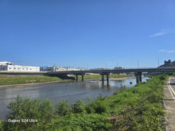 신천은 철새들의 놀이터로 많은 다리 모습(사진=김호선기자)