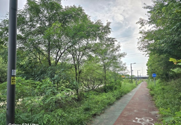 군자천의 하천길은 자전거와 인도로 구분된 길 모습(사진=김호선기자)