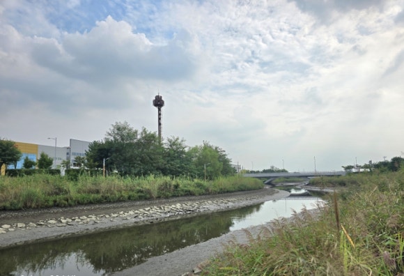 소문과는 달리 하천 관리가 잘 되어 있는 군자천 모습(사진=김호선기자)