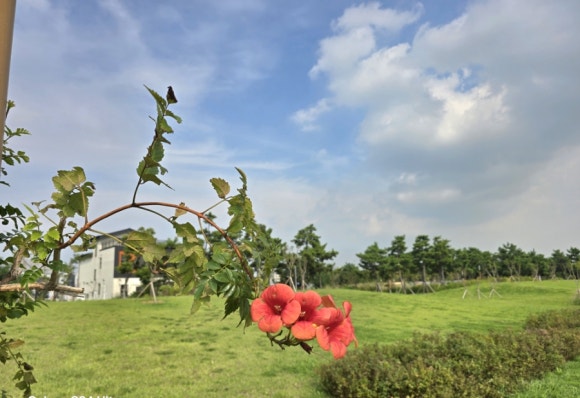시화호와 접하고 있는 해변에는 다양한 모습의 공원 모습(사진=김호선기자)