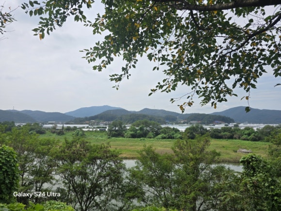 최촌으로 가는 지방도로에서 본 경안천 너머 서하리 들녘(사진=김호선기자)