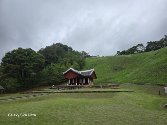 영월 장릉의 묘역과 제각 뒤의 부추꽃 전경(사진=김호선기자)