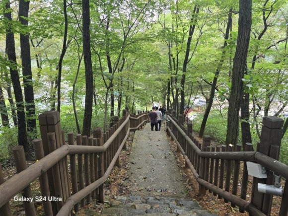 영월 장릉가는 길 입구 모습(사진=김호선기자)