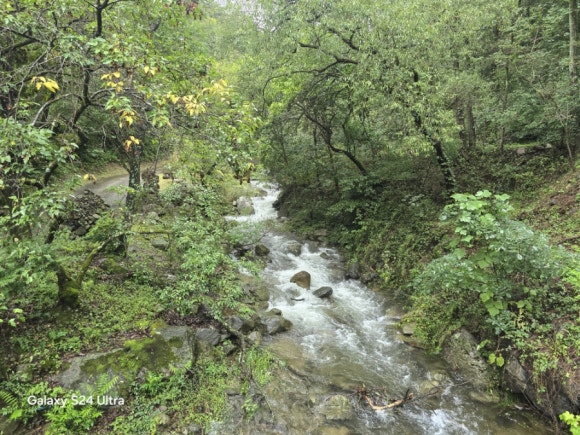 마대산에서 유적지로 흐르는 계곡지류 물길 모습(사진=김호선기자)