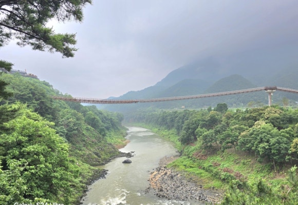 한탄강지질공원 전망대에서 바라보는 y출렁다리 모습(사진=김호선기자)