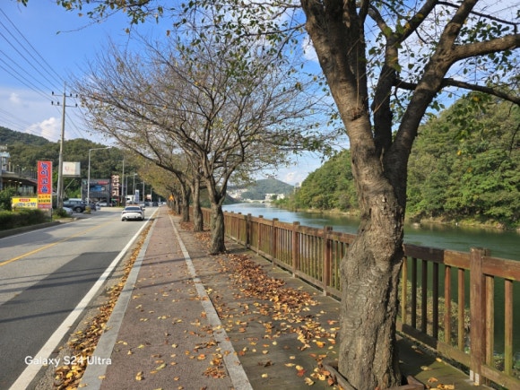 치매안심마을 곤지암천 벚꽃나무 길(사진=김호선기자)