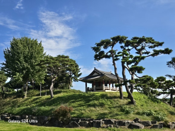 세종시 금강변에 있는 아름다운 독락정 풍광(사진=김호선기자)