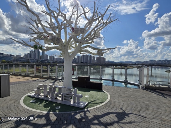 이음다리 3시의 있는 행복한 한글나무 모습(사진=김호선기자)