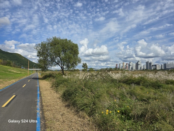 금강 변에는 각종 나무와 잔듸 그리고 갈대가 유혹의 길 모습(사진=김호선기자)