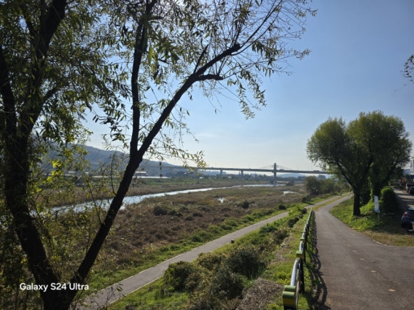 광주 경안천에서 바라보는 경안대교 모습(사진=김호선기자)