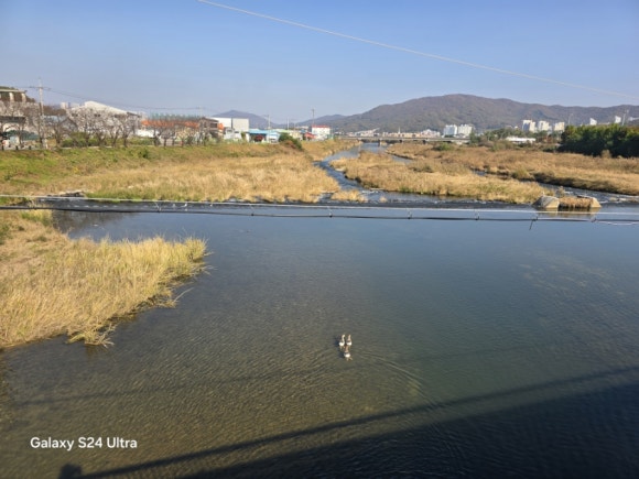광주 오포읍의 경안천 모습(사진=김호선기자)