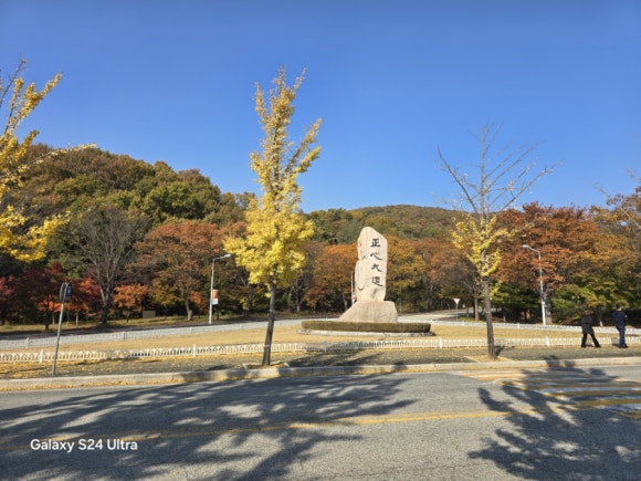 외국어대학교 입구의 서 있는 정심대도 비 모습(사진=김호선기자)