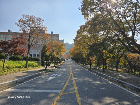 풍수지리학적으로 매우 아름답게 보이는 산비탈의 캠퍼스(사진=김호선기자)