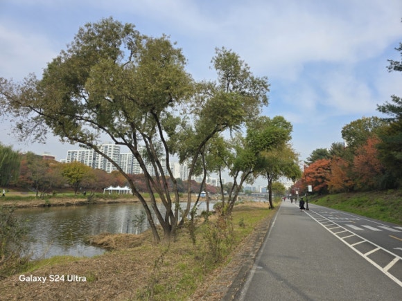 아름다운 단풍으로 물든 만추의 분당 이매역 앞 하천 모습(사진=김호선기자)
