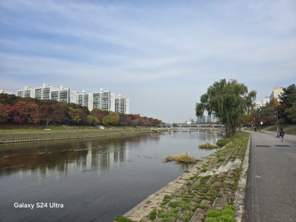 맑고 깨끗하게 조용하게 흐르는 생명이 돌아온 탄천 모습(사진=김호선기자)
