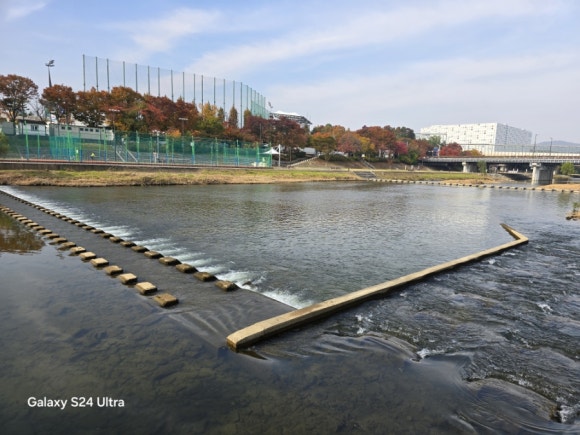 탄천에는 생명이 살아 움직일 수 있도록 조성된 지혜의 물길(사진=김호선기자)