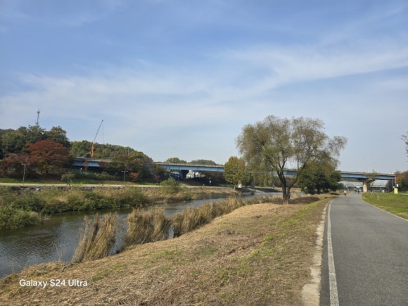 탄천에는 물길과 나무 그리고 각종 수생식물의 보고(사진=김호선기자)