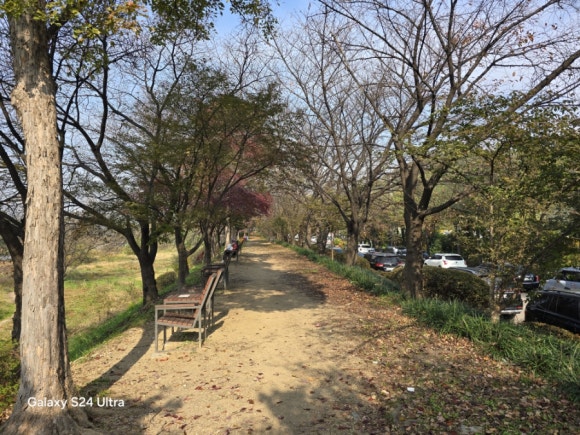 성남 9경 중 탄천 벚꽃길 7경 모습(사진=김호선기자)