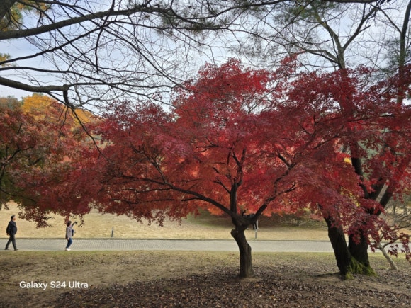 아름다운 현충사 경내 모습(사진=김호선기자)