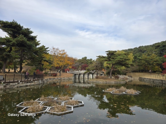 현충사 정려 뒤에 있는 연못 모습(사진=김호선기자)