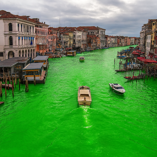 기사의 이미지를 위한 AI 이미지